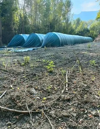 Exploitation de Morilles