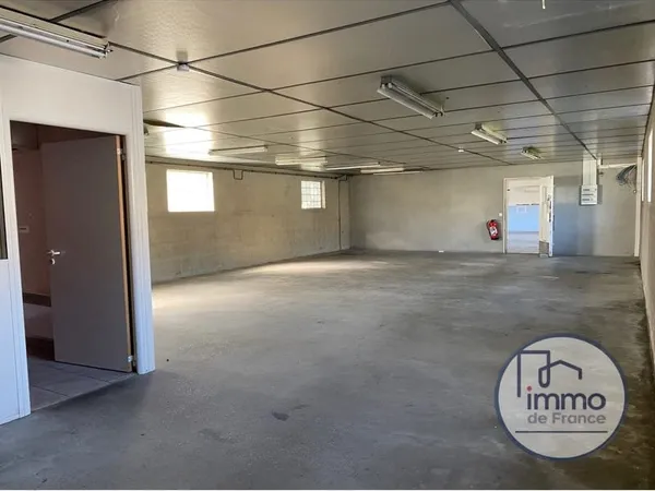 Immobilier Professionnel à vendre Saint-Clair-du-Rhône