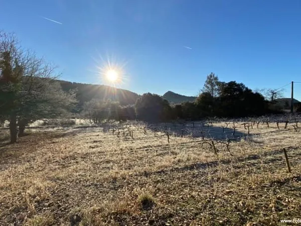 Terrain Entrechaux 2796 m2