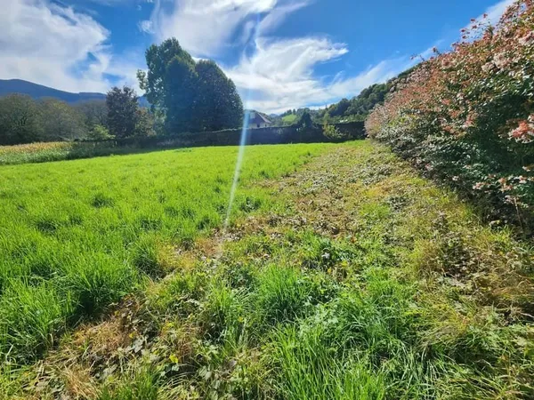 MONTAUT, A VENDRE Terran plat, vue Pyrénées, viabilisé, 1200 m²