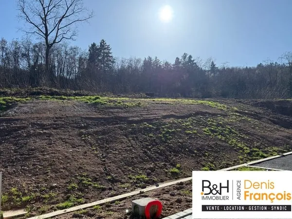 Terrain à bâtir Vente Katzenthal   129600€