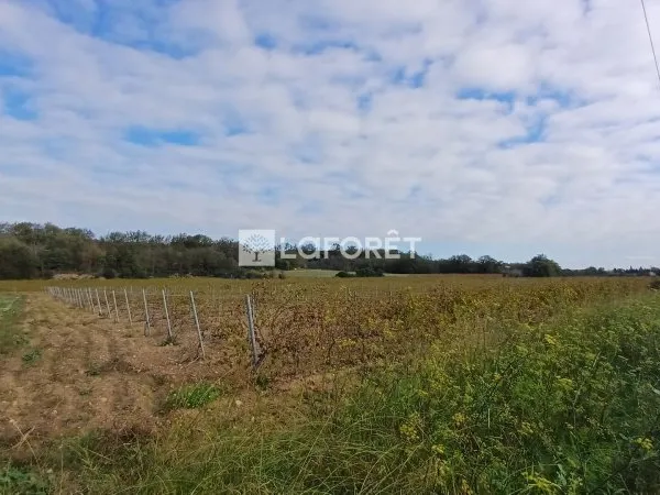 Terrain 20000 m²