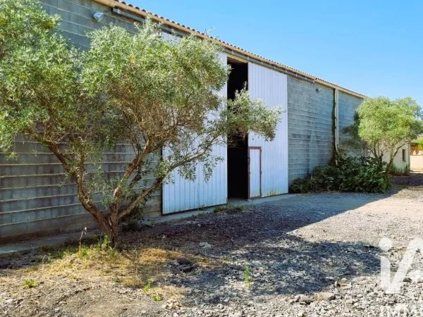 Local 1 pièce 360 m²