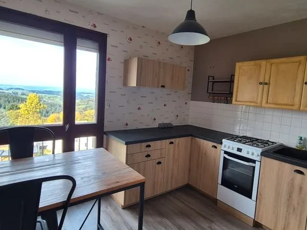 🏡 Appartement T2 rénové - 46 m² - Saint-Didier-en-Velay
