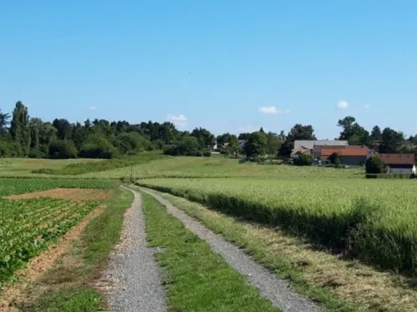 Terrain 427 m²