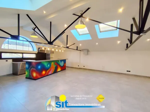 Appartement type LOFT- VIENNE