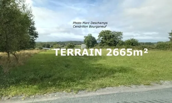 Terrain constructible (CU en cours) 2665m2