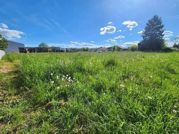 Terrain - 2156m ²
