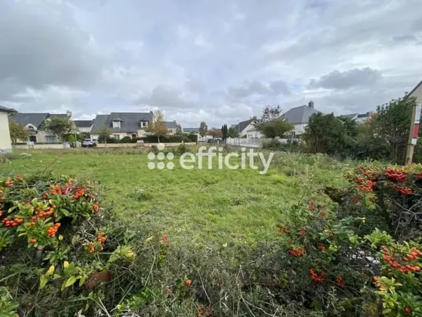 Terrain 338 m²