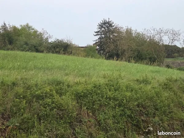 Terrain d'agréement - 3.790 m² - 69620 TERNAND