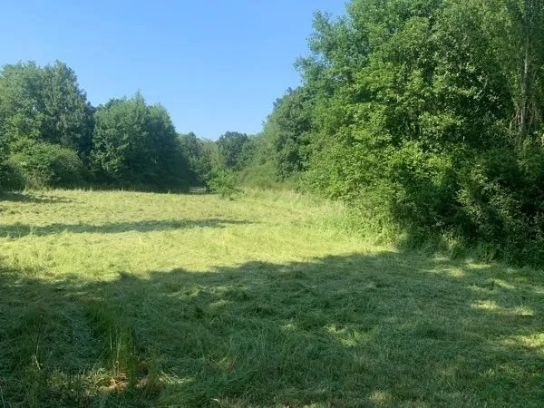 Terrain de loisirs 11290 m2 en bord de Saône