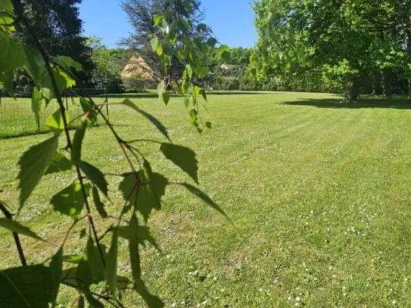 Terrain 1421 m²