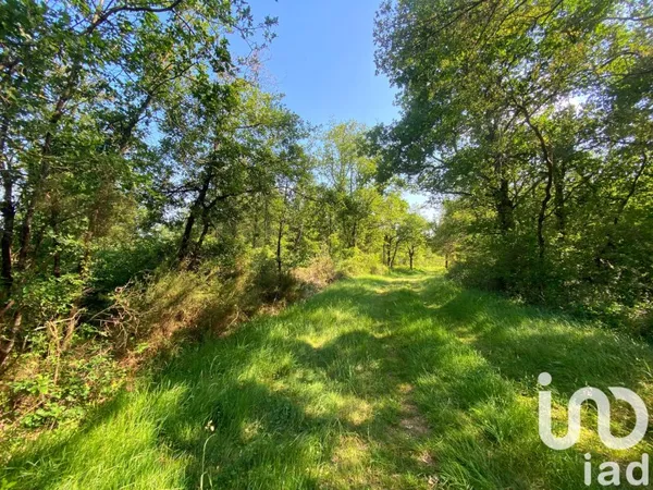 Terrain 17000 m²