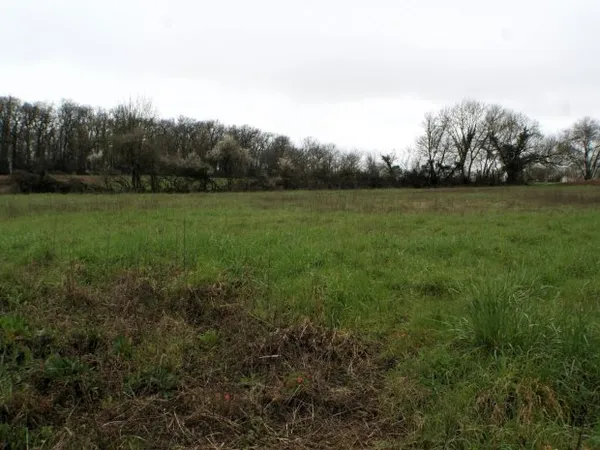 Terrain à bâtir