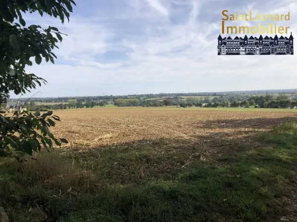 Terrain 17006 m²
