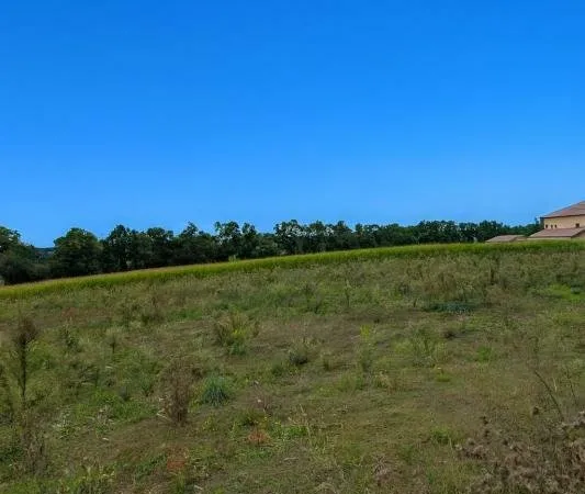 Terrain à bâtir Vente Savigneux  318m² 120000€