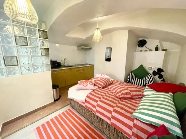 STUDIO 24 m2 ROQUEBRUNE VILLAGE