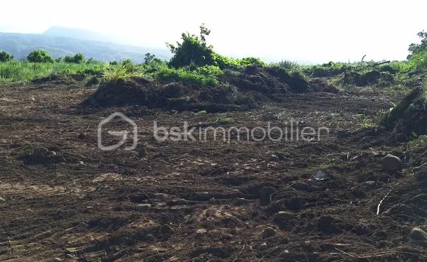Terrain 251 m²