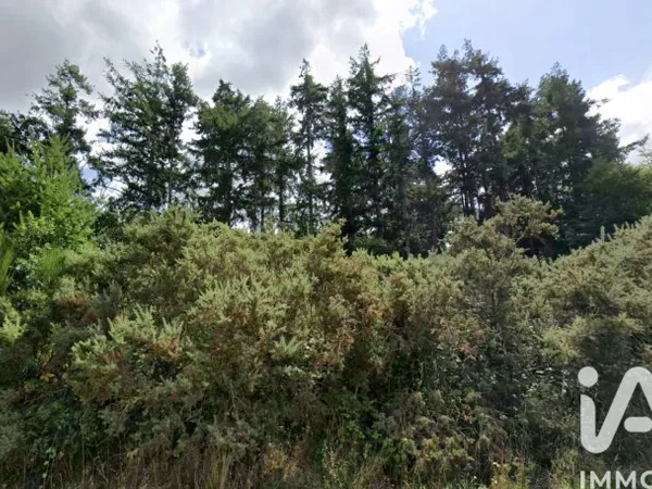 Terrain 1649 m²