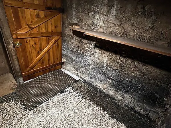 Location Cave saine Lyon 6