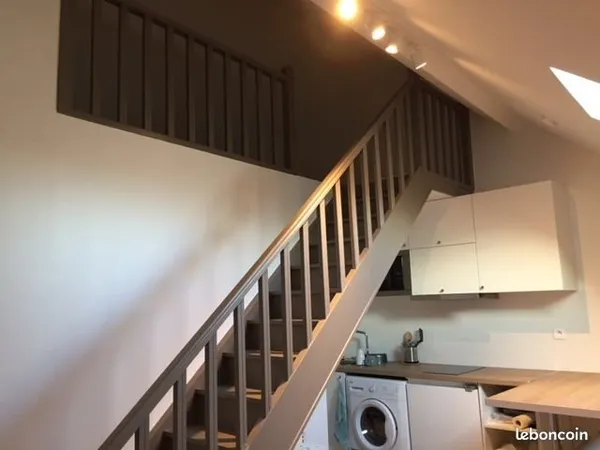 Grand loft 53m2, idéal étudiant