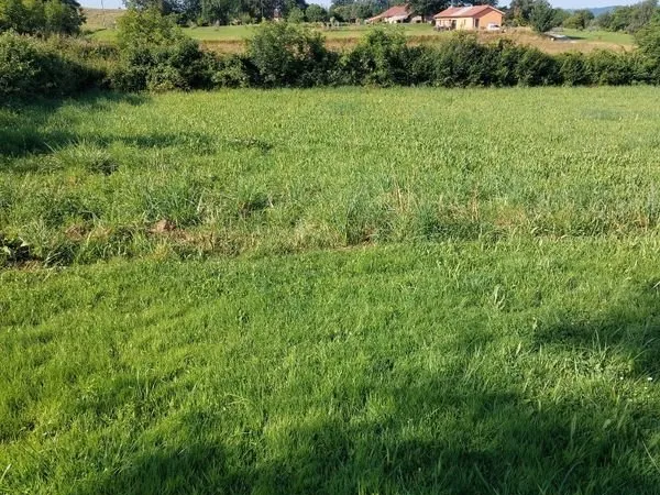 Terrain à bâtir