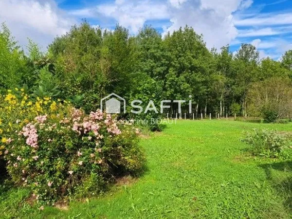 Maison 132 m² - 8 km de Louhans - 3 chambres - Terrain 3015 m²