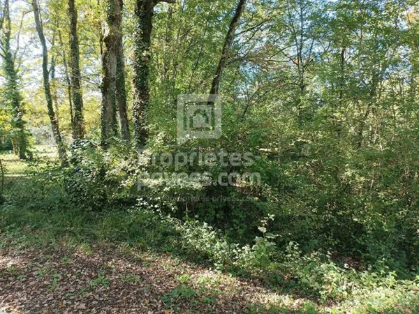 Terrain Montgesty 4515 m2