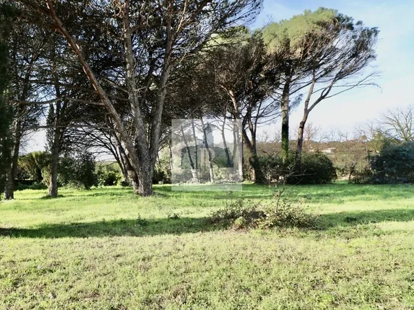 Saint-Tropez, terrain à vendre entre le centre et les plages