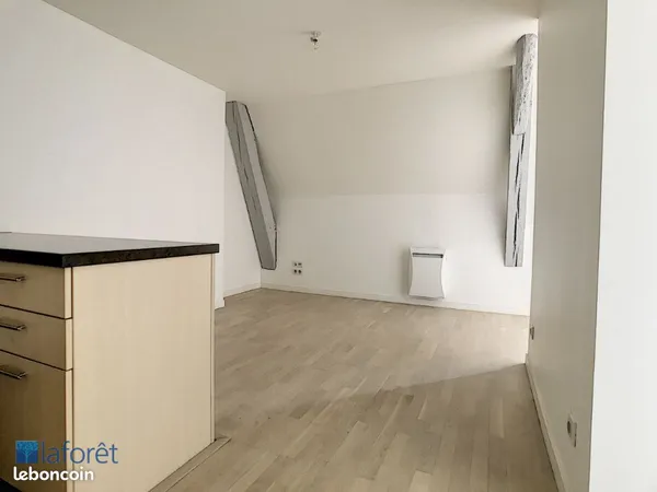Appartement 1 pièce 42 m²