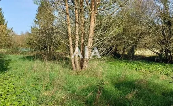 TERRAIN ET DEPENDANCES