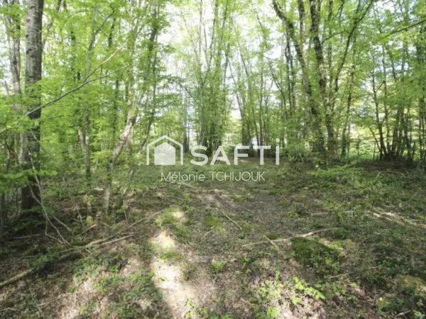 Terrain constructible de 2312m²