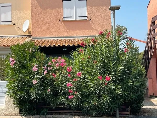 MAISON T3 de 35 m²