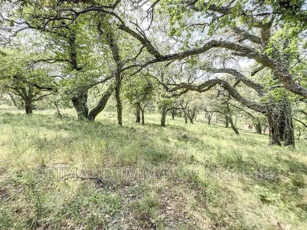 Terrain 6350 m²