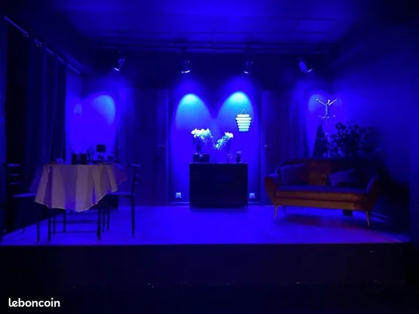 A céder droit au bail charmant petit théâtre parisien 11e arrondissement. Salle de spectacle. Cabare