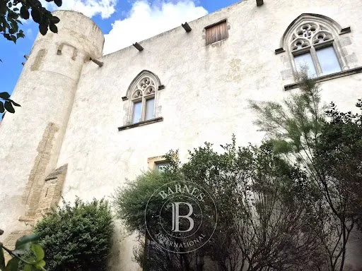 Château 19 pièces 825 m²