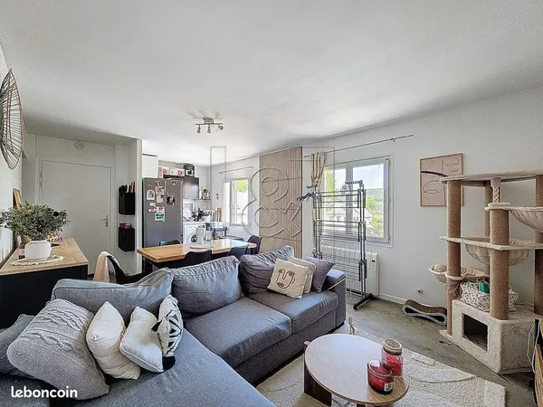 Appartement 3 pièces 50 m²