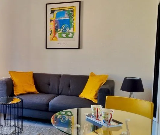 T1 20 m2 entièrement rénové
