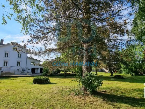 Maison 7 pièces 175 m²