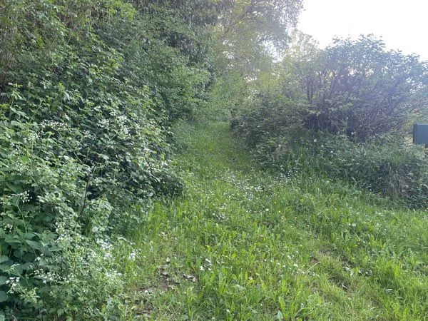 Bois / terrain non constructible