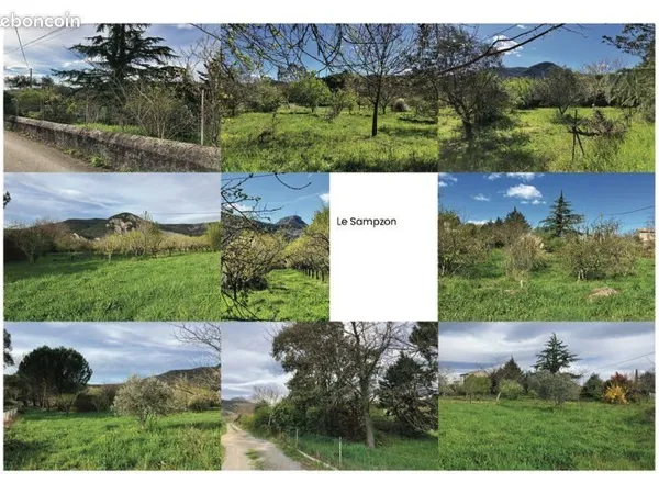 Terrain constructible