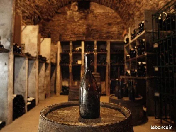 Cave de stockage / vin en Touraine