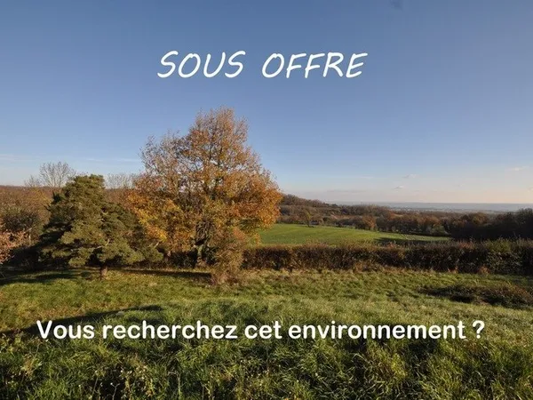 Maison 4 pièces - 3 chambres - sous sol 110 m² - terrain 3000 m²