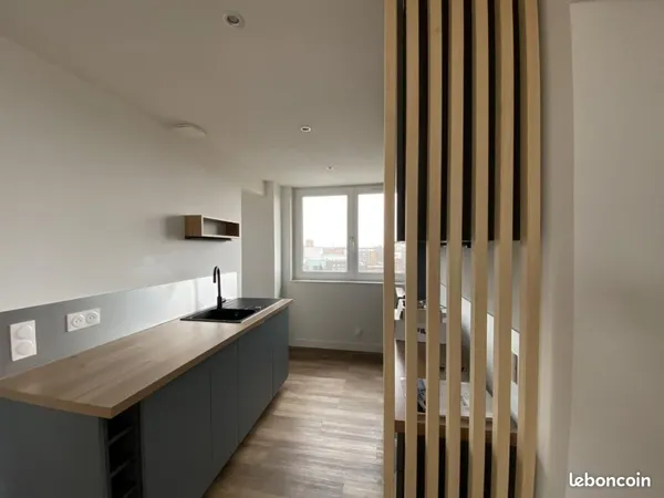 Appartement 1 pièce 42 m²