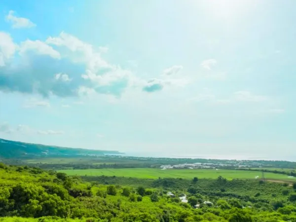 Terrain en individuel 334 m²