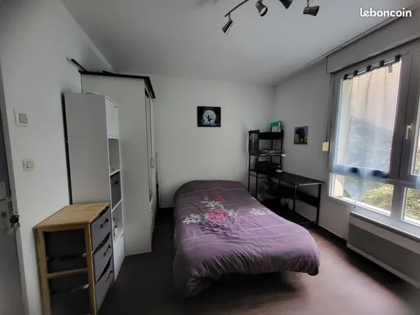 Magnifique Studio Meublé à Louer - Centre-Ville de Mulhouse