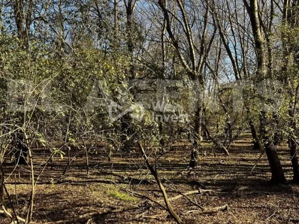Terrain 4148 m²
