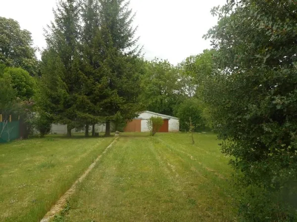 Local 300 m²
