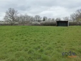 Terrain agricole