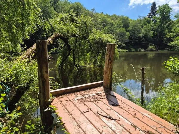 Deux beaux étangs, 6500 m2 d'eau pour pêche et loisirs sur un espace total de deux hectares de terra